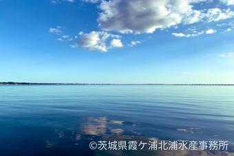 関東一大きな湖、霞ヶ浦まで徒歩5分