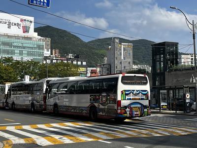 City Tour