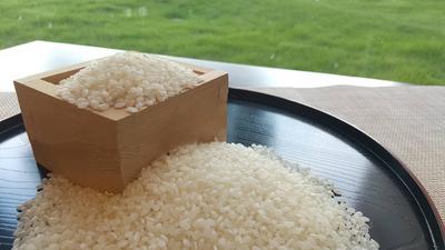 Regional Breakfast Featuring Chiba-Grown Koshihikari Rice