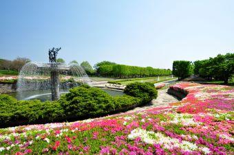 四季を探して。昭和記念公園散策に最適！