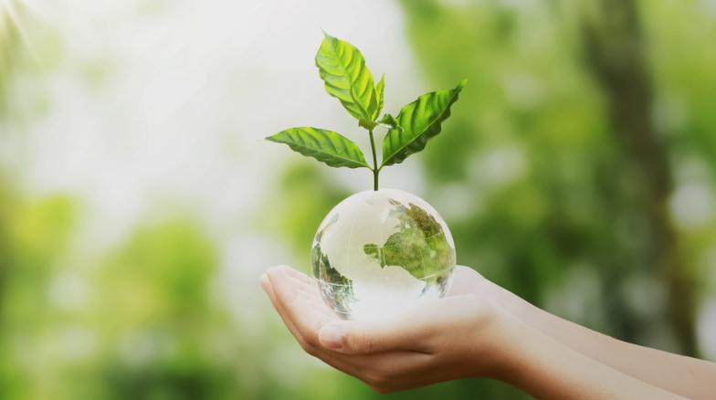 ECOステイ